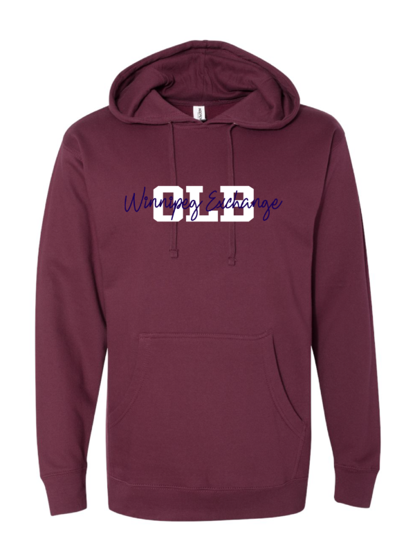 Champion Hoodie Winnipeg - Image 3