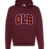 Champion Hoodie OLB (SW) - Image 3