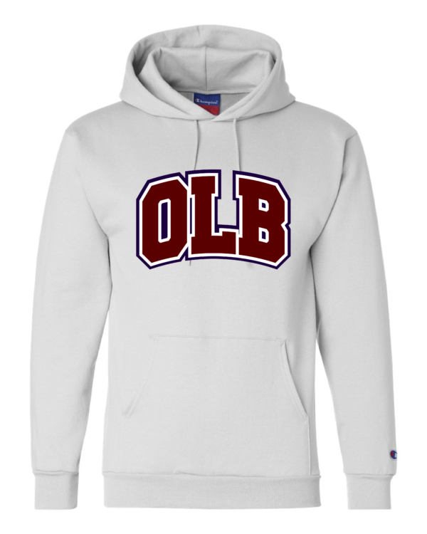M&O Soft Style Hoodie OLB(SW(Embroidery ) - Image 2